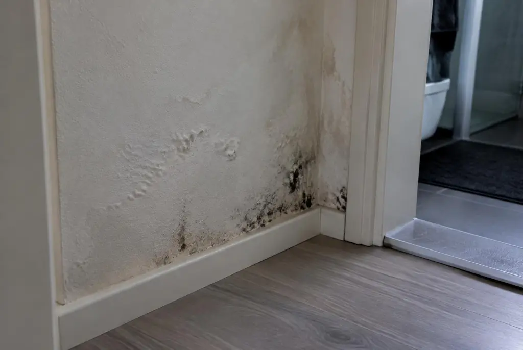 Lekdetectie Benschop – vochtplek met schimmel op een muur